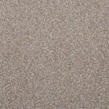 Masland CarpetsGranique